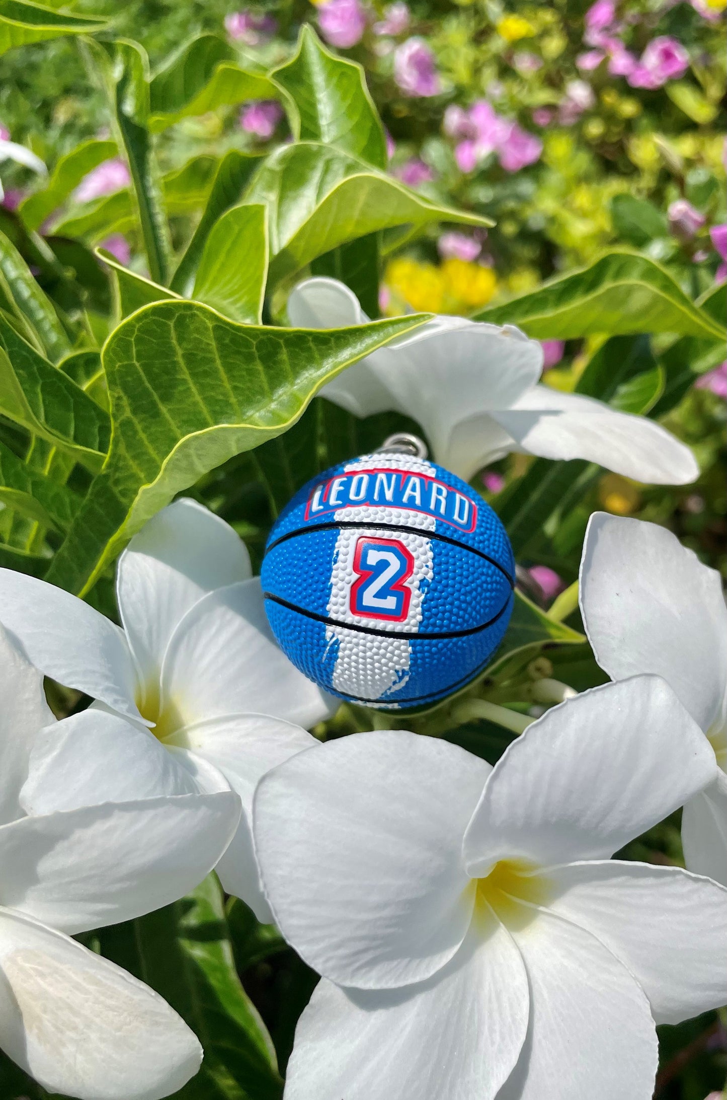 NBA Basketball Key-Chain